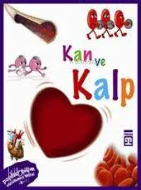 Vücudumuz Dizisi - Kan ve Kalp