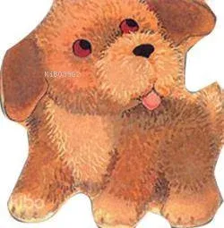 Arkadaşım Köpek