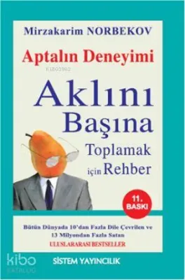 Aptalın Deneyimi