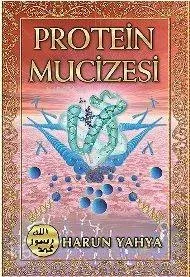 Protein Mucizesi