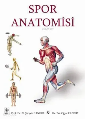 Spor Anatomisi