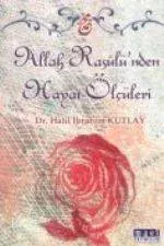 Allah Rasulü'nden Hayat Ölçüleri Halil İbrahim Kutlay
