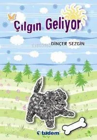 Çılgın Geliyor