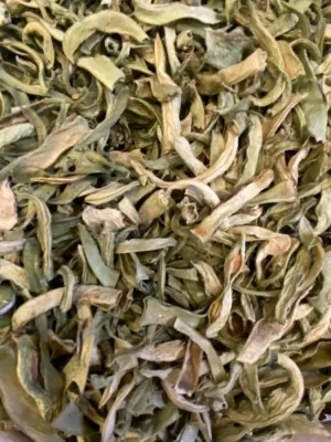 KURUTULMUŞ YEŞİL FASULYE 500 GR KURUTULMUŞ YEŞİL FASULYE 500 GR