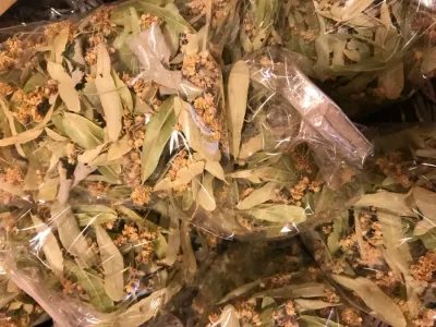 Ihlamur (50 gr)