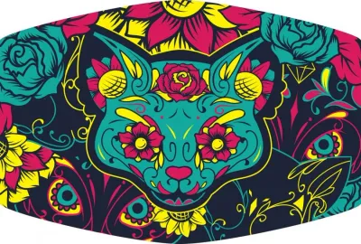 CATS FACE
