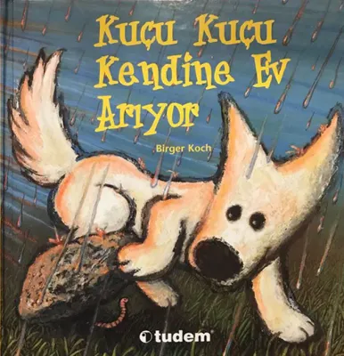 Kuçu Kuçu Kendine Ev Arıyor