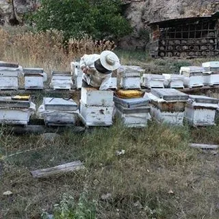 Çiçek balı (kg)
