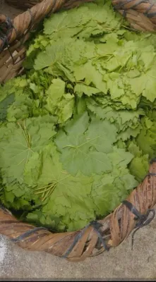 SALAMURA ASMA YAPRAĞI (2 KG LIK)