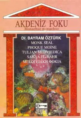 Akdeniz Foku