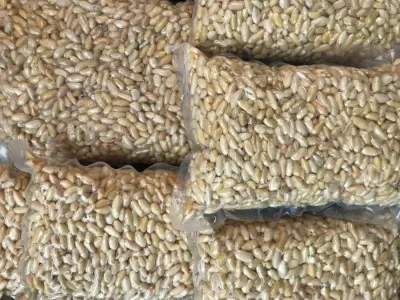helvalık,dolmalık fıstık (500 gr )