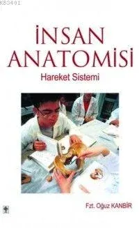 İnsan Anatomisi