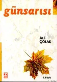 Günsarısı