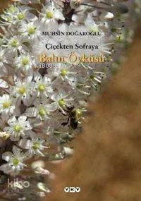 Çiçekten Sofraya Balın Öyküsü