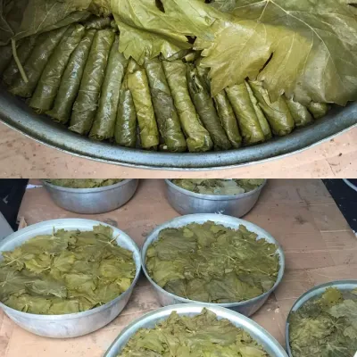 Beypazarı Yaprak Sarması kg Beypazarı Yaprak Sarması kg