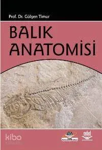 Balık Anatomisi