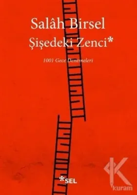 Şişedeki Zenci Salah Birsel