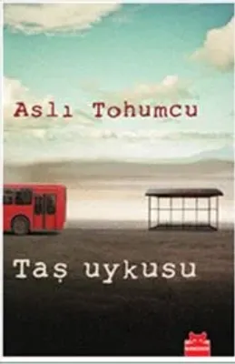 Taş Uykusu