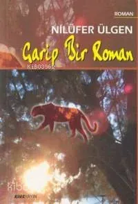 Garip Bir Roman