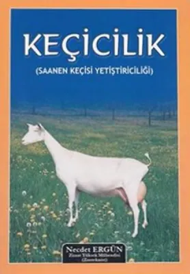 Keçicilik (saanen Keçisi Yetiştiriciliği)
