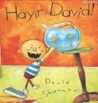 Hayır David!