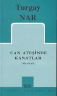 Can Ateşinde Kanatlar (Mevlânâ)