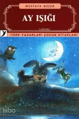 Ay Işığı