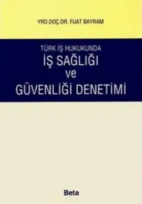 Türk İş Hukukunda İş Sağlığı ve Güvenliği Denetimi