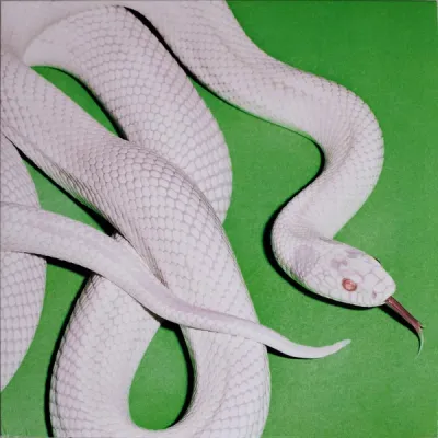 Deftones – Private Music LP