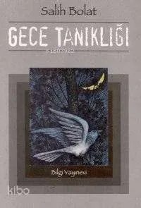 Gece Tanıkları