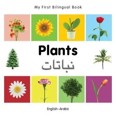 Plants (English–Arabic) Milet