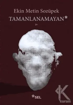 Tamanlanamayan Ekin Metin Sozüpek