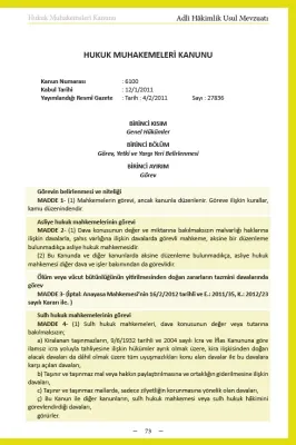 İdari Hakimlik Usul Mevzuatı Sertkan Erdurmaz