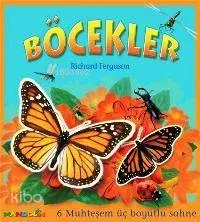 Böcekler (5+ Yaş)