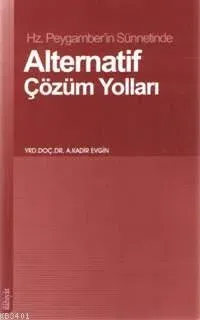 Alternatif Çözüm Yolları