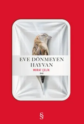 Eve Dönmeyen Hayvan Murat Çelik