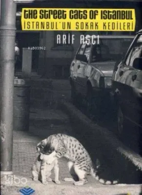 İstanbul'un Sokak Kedileri