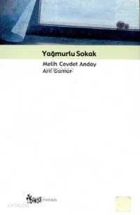 Yağmurlu Sokak
