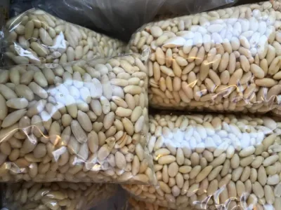 helvalık,dolmalık fıstık (500 gr )