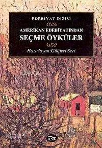 Amerikan Edebiyatından Seçme Öyküler