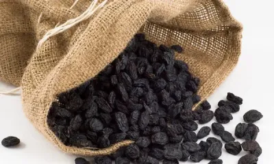 ÇEKİRDEKLİ SİYAH ÜZÜM KURUSU (1000GR)