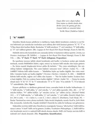 Büyük Felsefe Lûgatı (3 Cilt) - Mustafa Namık Çankı