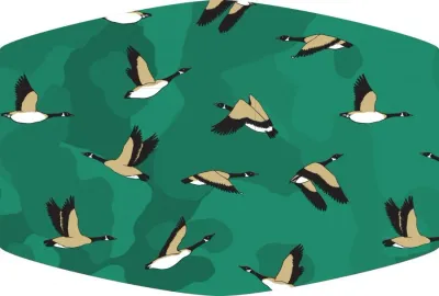DUCKS FACE