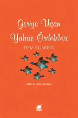 Geriye Uçan Yaban Ördekleri