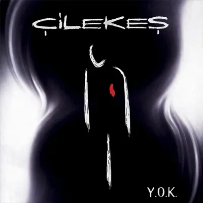Çilekeş - Y.O.K. LP
