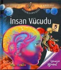 İnsan Vucudu