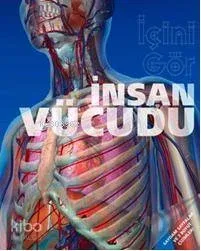 İnsan Vücudu