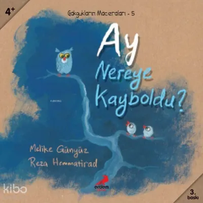 Ay Nereye Kayboldu
