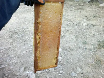 Çiçek balı (kg) Çiçek balı (kg)