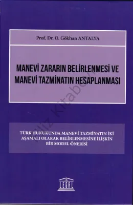Manevi Zararın Belirlenmesi ve Manevi Tazminatın Hesaplanması